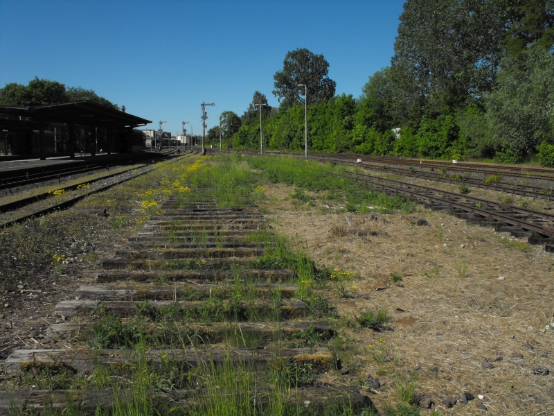 Starogard Gdański 12