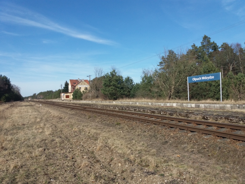 Olpuch Wdzydze 27
