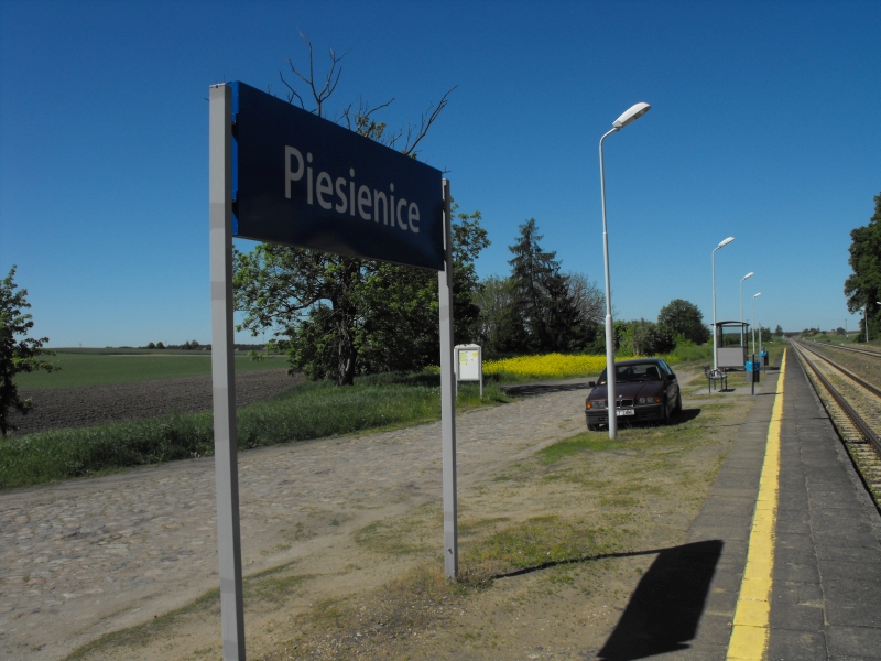 Piesienice 03