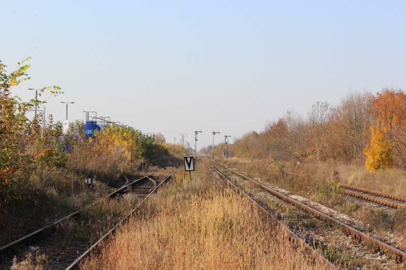 ostrów mazowiecka002