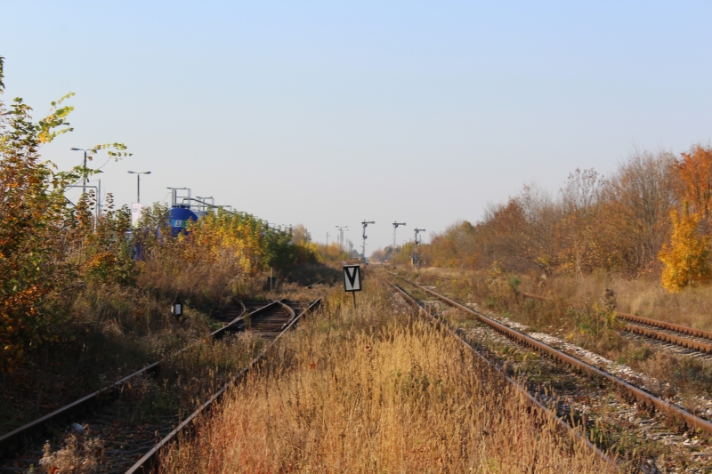 ostrów mazowiecka003