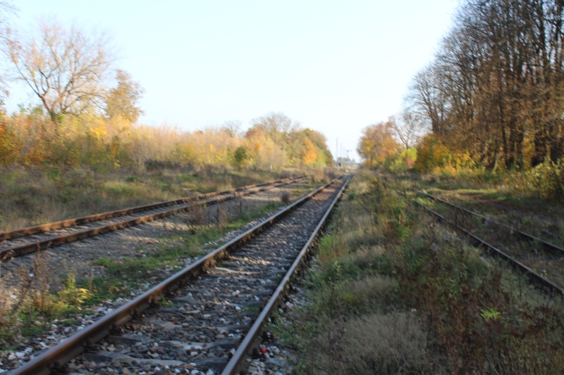 ostrów mazowiecka004