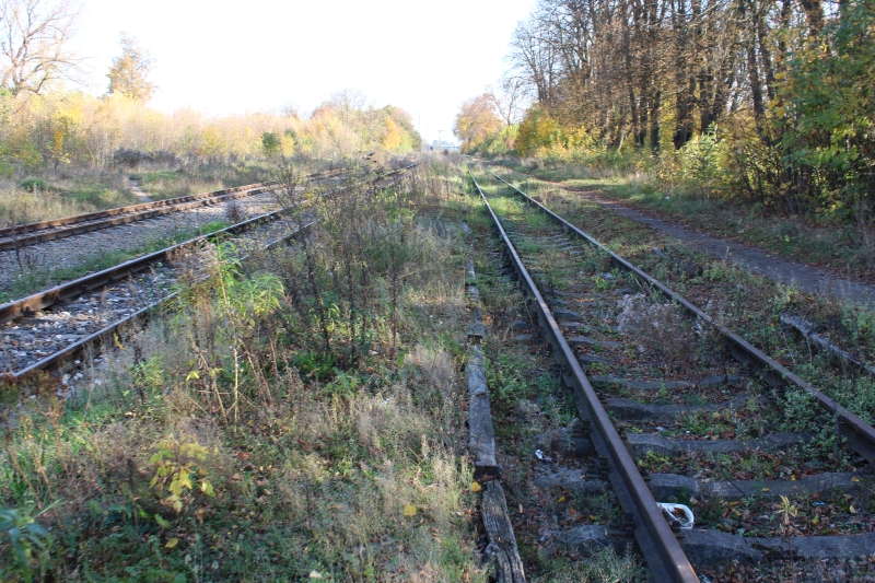 ostrów mazowiecka005