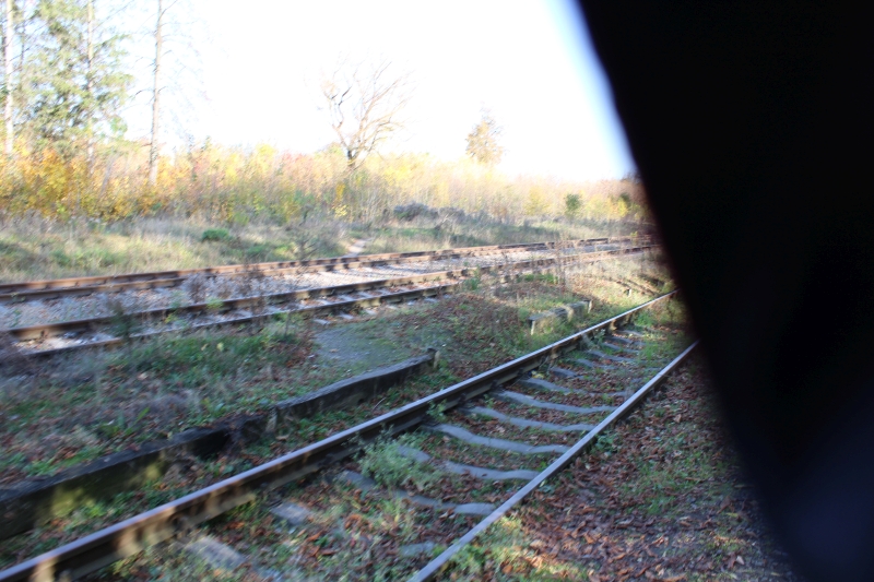 ostrów mazowiecka006