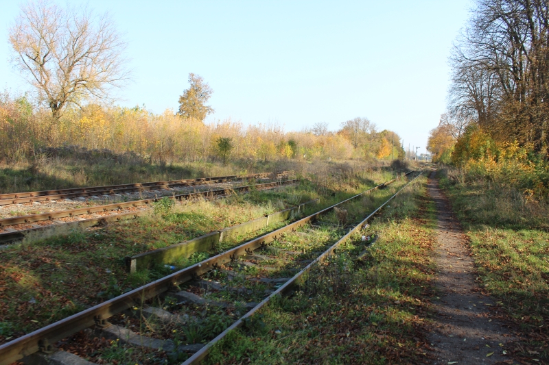 ostrów mazowiecka007