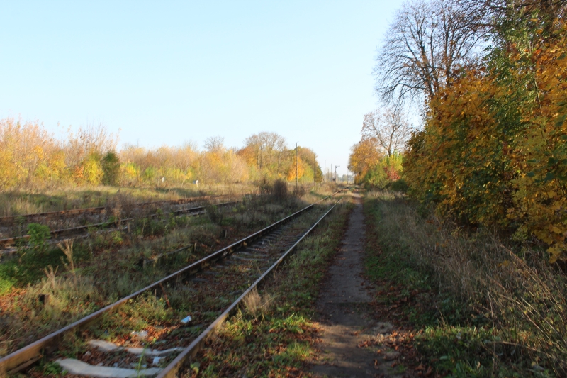 ostrów mazowiecka013