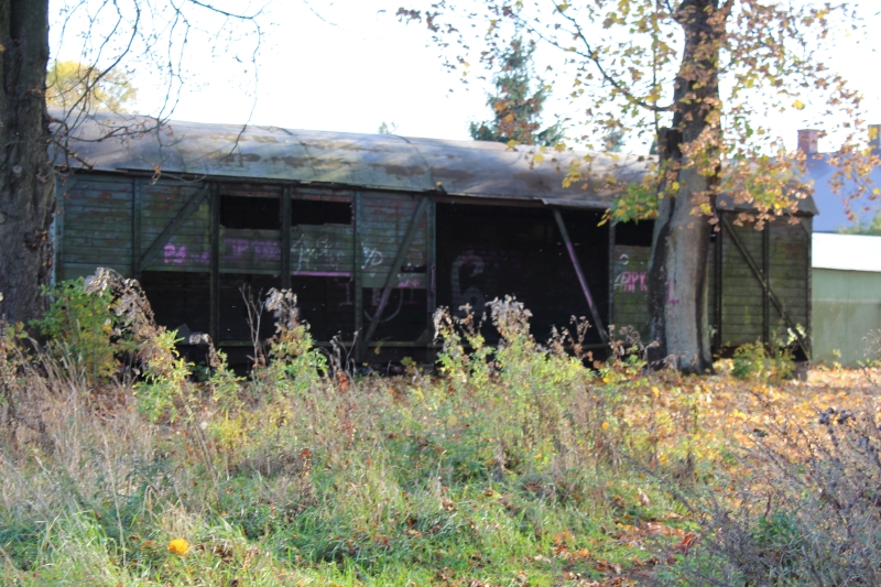 ostrów mazowiecka014