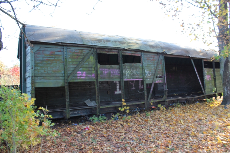 ostrów mazowiecka016