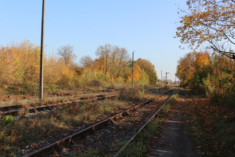 ostrów mazowiecka018