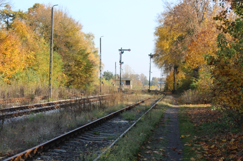 ostrów mazowiecka019