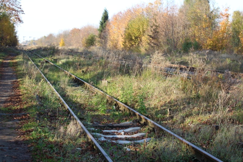 ostrów mazowiecka020