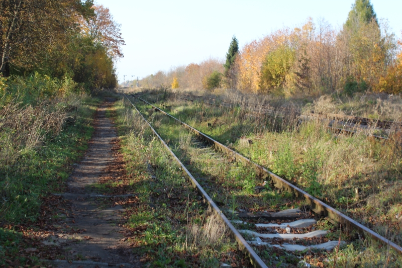 ostrów mazowiecka021