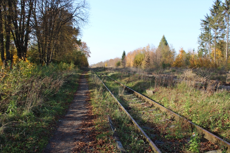 ostrów mazowiecka022