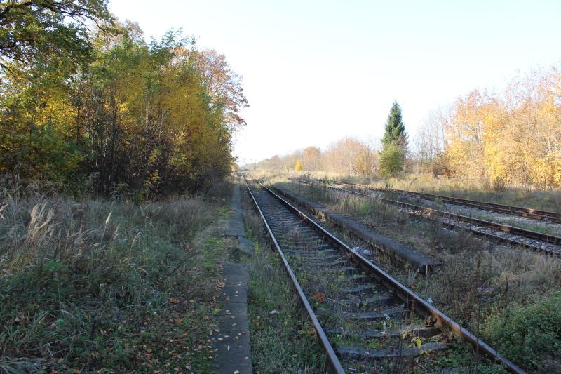 ostrów mazowiecka023