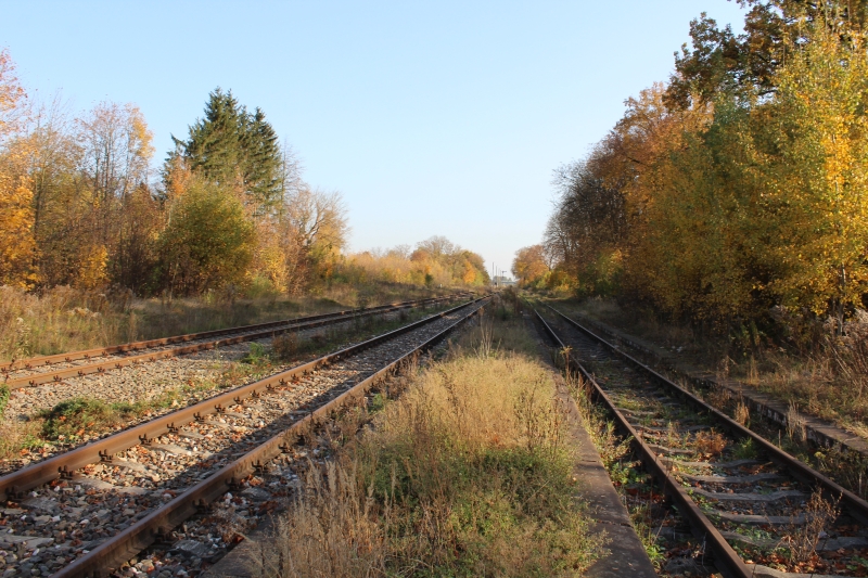 ostrów mazowiecka024