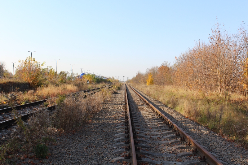 ostrów mazowiecka025