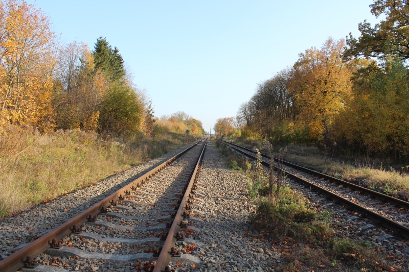 ostrów mazowiecka026