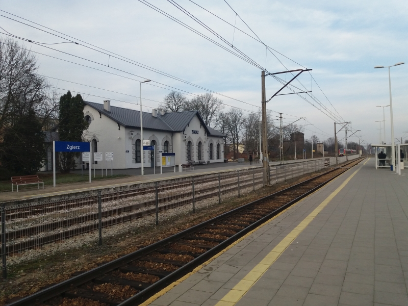 zgierz007