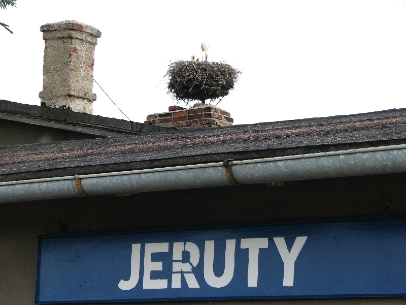 Jeruty65