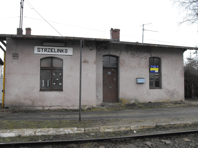 strzelinko 09