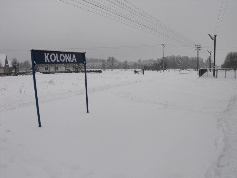 kolonia 02