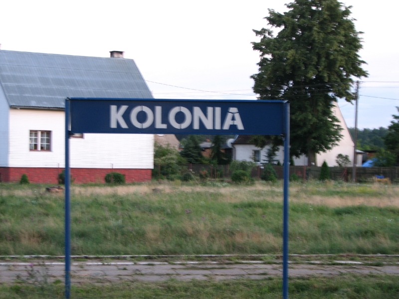 kolonia60