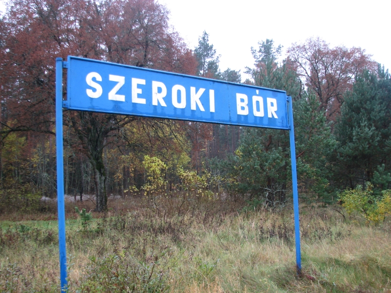 szeroki bór 02