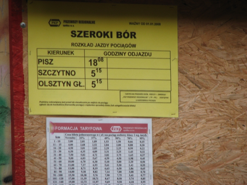 szeroki bór 08
