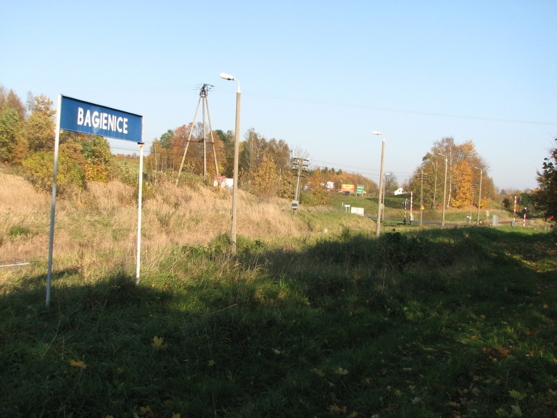 bagienice 01
