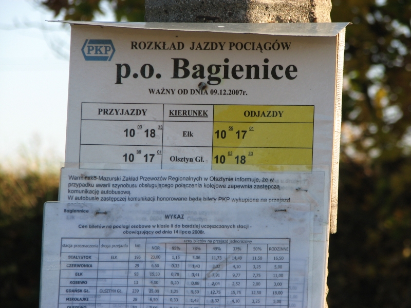 bagienice 06