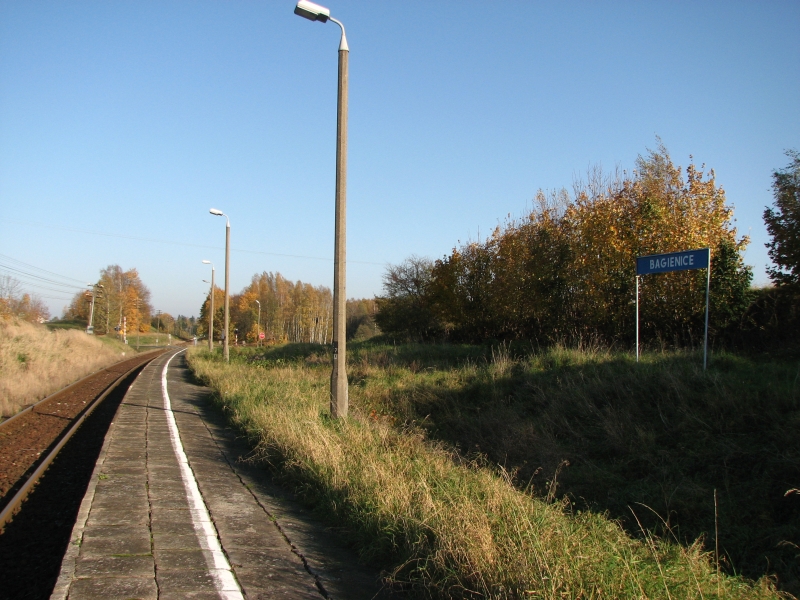 bagienice 07