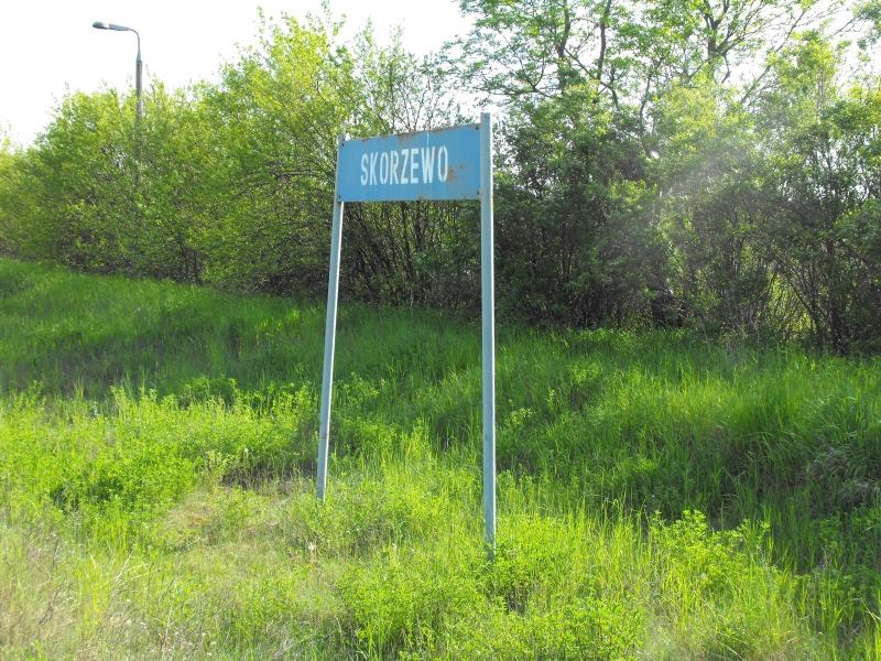 skorzewo 03