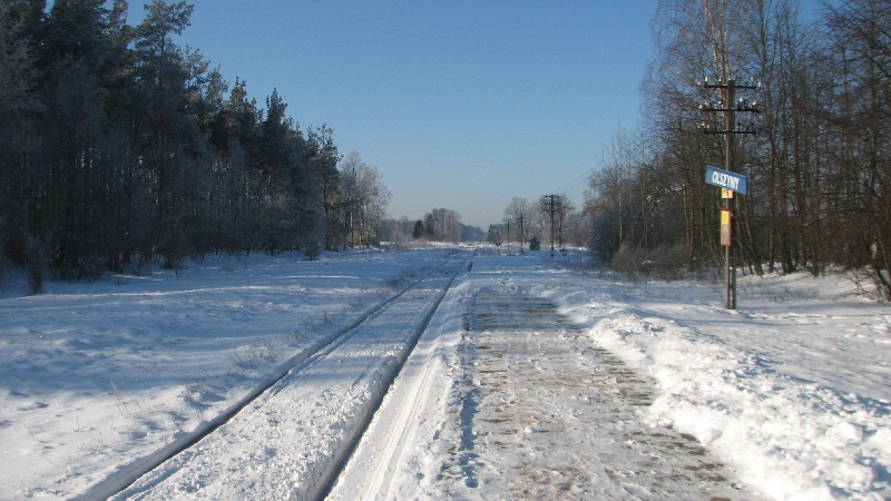 Olszyny 02