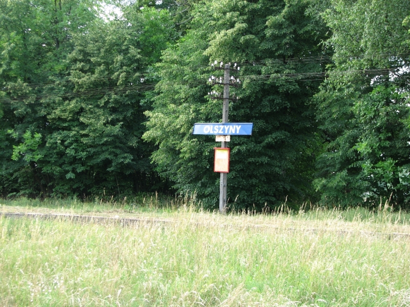 olszyny 08