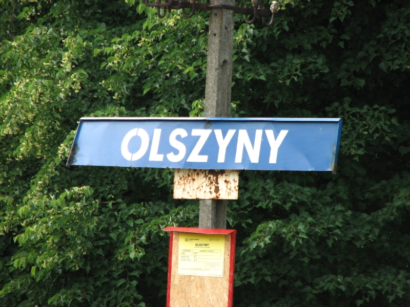 olszyny 09