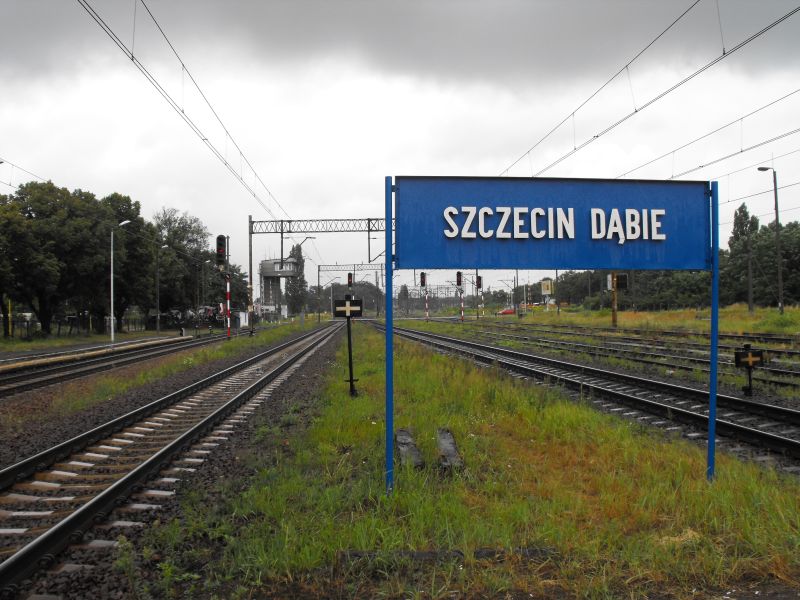 dąbie 05