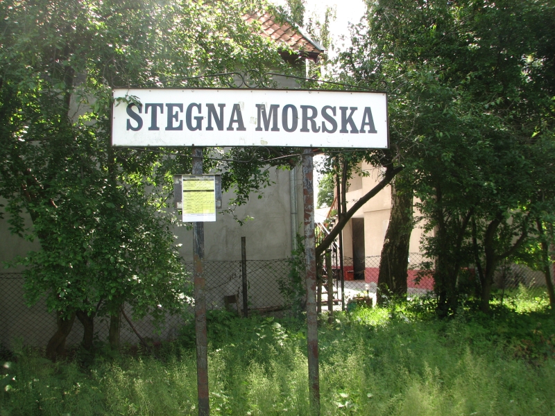 stegna morska 06