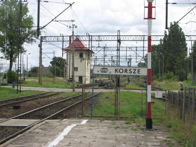 korsze 31