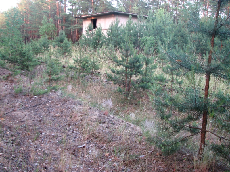 Wielbark Suchy Las 02