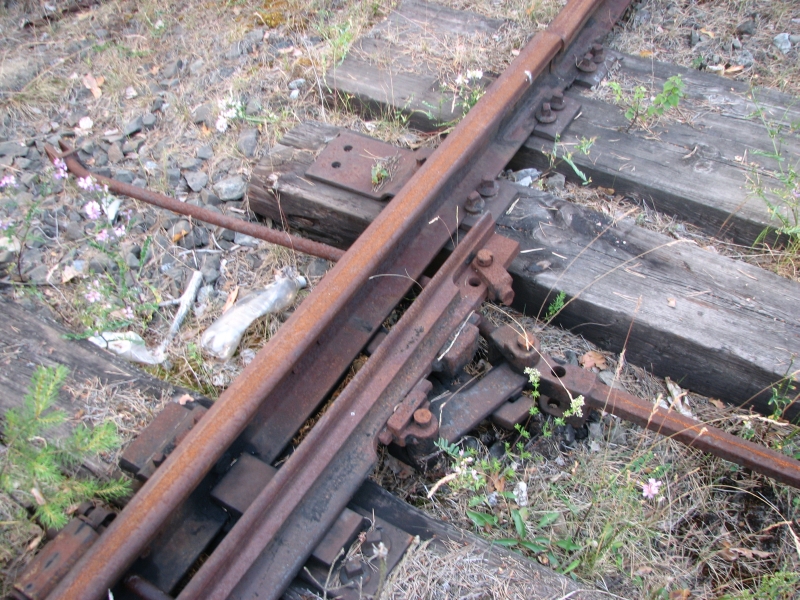 Wielbark Suchy Las 03