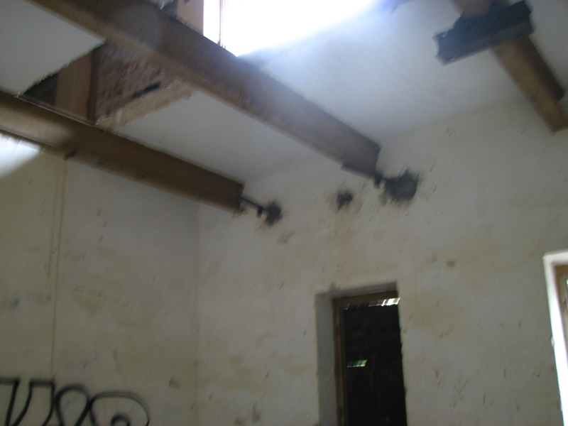 Wielbark Suchy Las 07