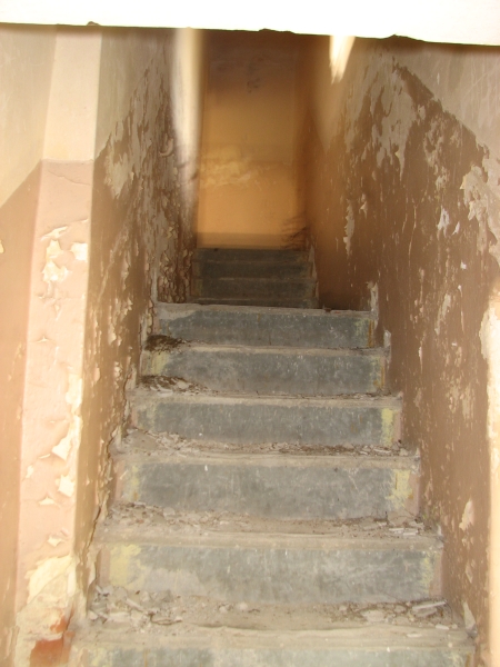 Wielbark Suchy Las 09