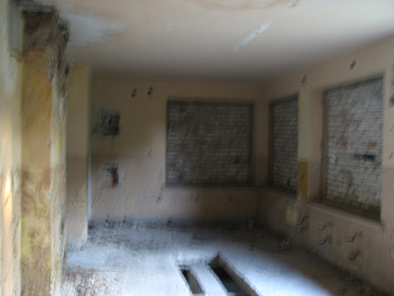 Wielbark Suchy Las 10