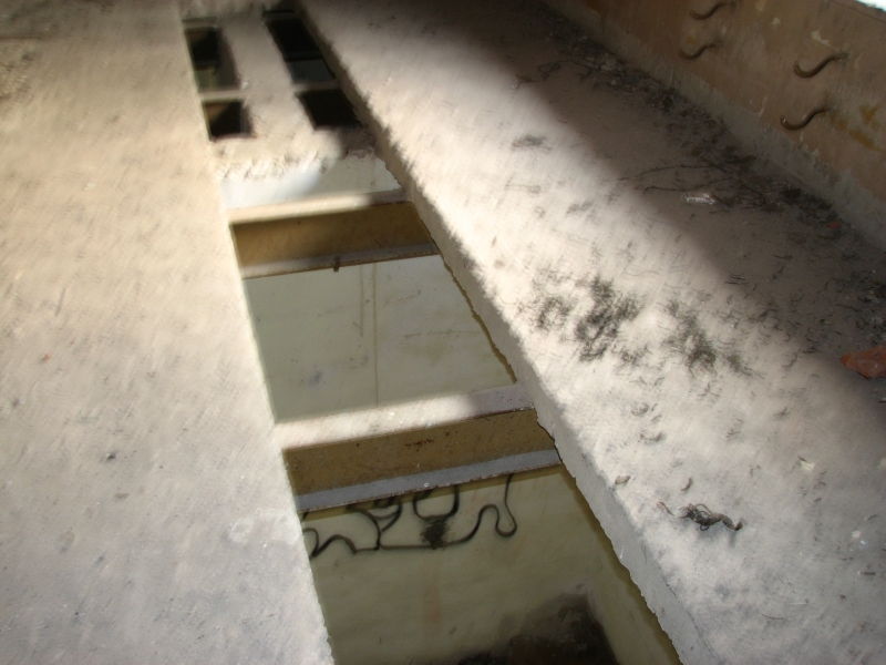 Wielbark Suchy Las 11