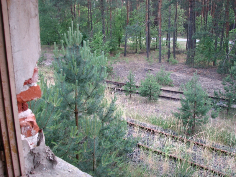 Wielbark Suchy Las 12