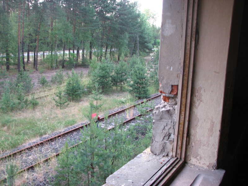 Wielbark Suchy Las 13