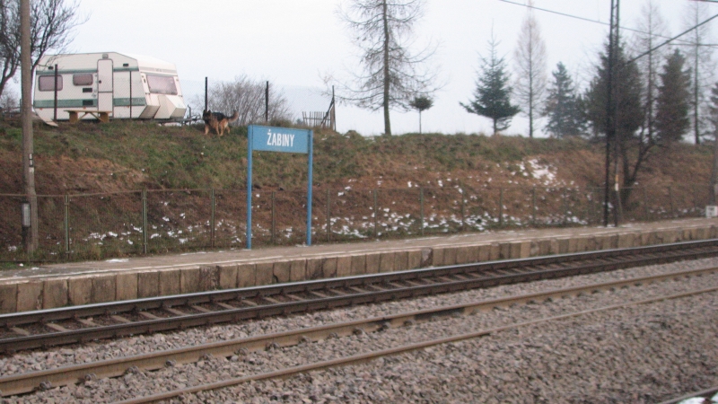 żabiny 01