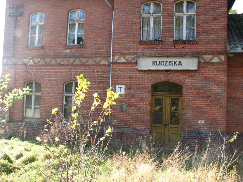 rudziska 11
