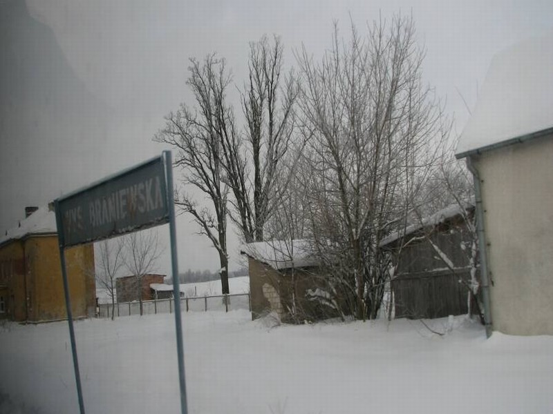 wysoka braniewska 01