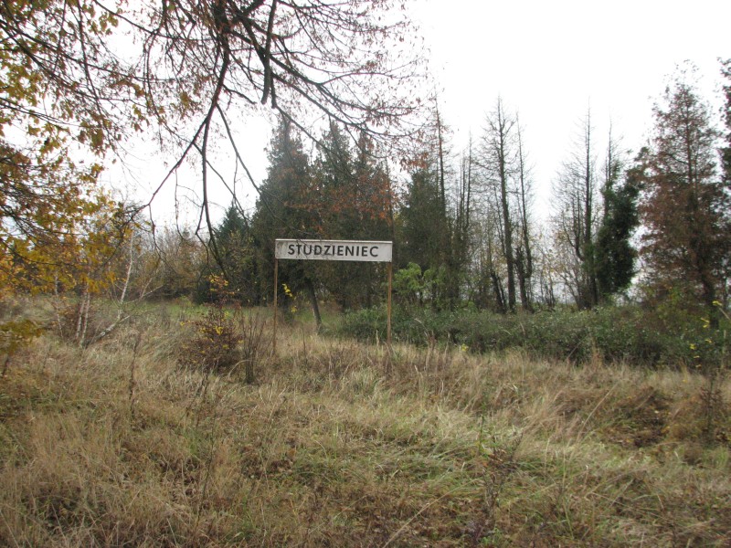 studzieniec 01
